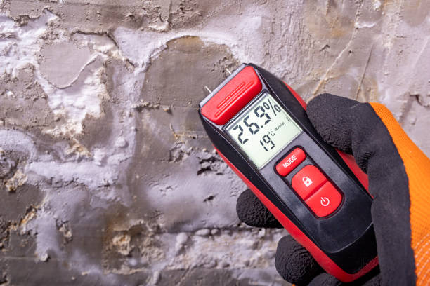 Best Professional Mold Removal  in Wingdale, NY