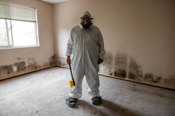 Best Mold Damage Repair  in Wingdale, NY